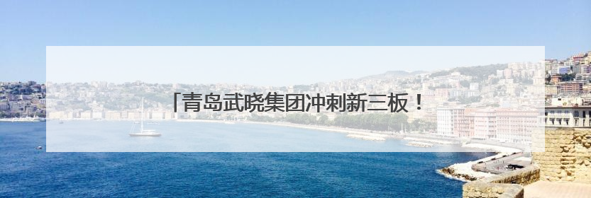 青岛武晓集团冲刺新三板！近两年营收均超20亿元