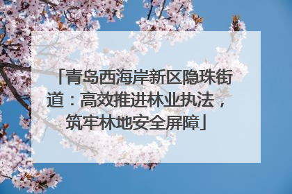 青岛西海岸新区隐珠街道：高效推进林业执法，筑牢林地安全屏障