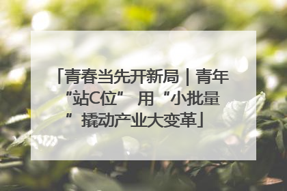 青春当先开新局｜青年“站C位” 用“小批量”撬动产业大变革