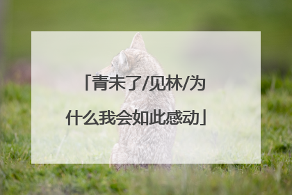 青未了/见林/为什么我会如此感动