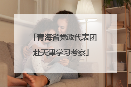 青海省党政代表团赴天津学习考察