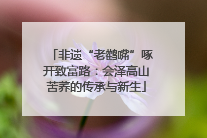 非遗“老鹳嘴”啄开致富路：会泽高山苦荞的传承与新生