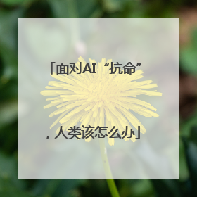 面对AI“抗命”，人类该怎么办