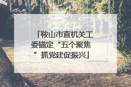 鞍山市直机关工委锚定“五个聚焦”抓党建促振兴