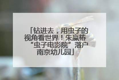 钻进去，用虫子的视角看世界！朱赢椿“虫子电影院”落户南京幼儿园