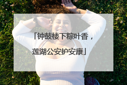 钟鼓楼下粽叶香，莲湖公安护安康