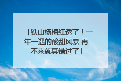 铁山杨梅红透了！一年一遇的酸甜风暴 再不来就真错过了