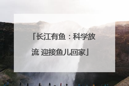 长江有鱼：科学放流 迎接鱼儿回家