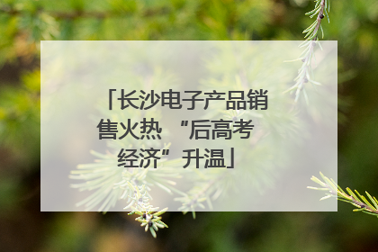 长沙电子产品销售火热 “后高考经济”升温