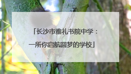 长沙市雅礼书院中学：一所你启航圆梦的学校