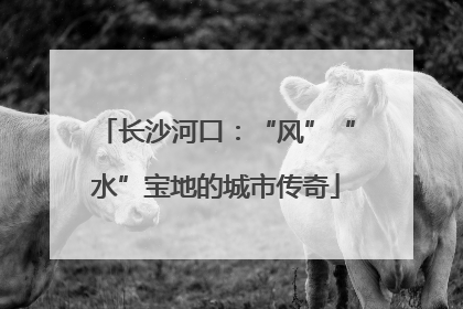 长沙河口：“风”“水”宝地的城市传奇
