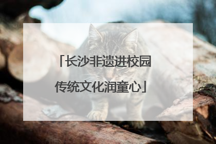 长沙非遗进校园 传统文化润童心
