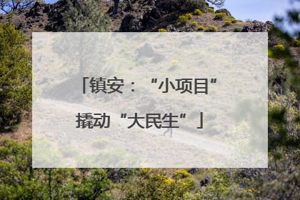 镇安：“小项目”撬动“大民生”