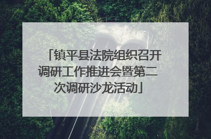 镇平县法院组织召开调研工作推进会暨第二次调研沙龙活动