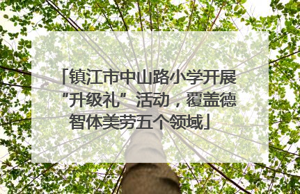 镇江市中山路小学开展“升级礼”活动，覆盖德智体美劳五个领域