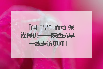 闻“旱”而动 保灌保供——陕西抗旱一线走访见闻