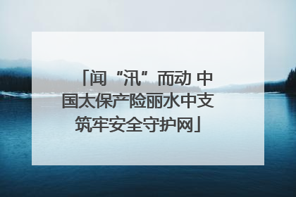闻“汛”而动 中国太保产险丽水中支筑牢安全守护网