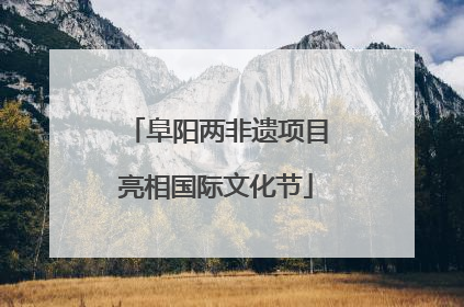 阜阳两非遗项目亮相国际文化节