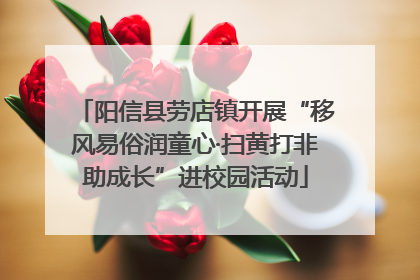 阳信县劳店镇开展“移风易俗润童心·扫黄打非助成长”进校园活动