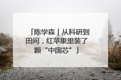 陈学森｜从科研到田间，红苹果里装了颗“中国芯”