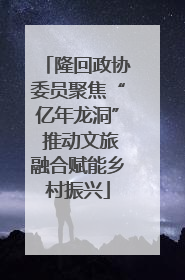 隆回政协委员聚焦“亿年龙洞” 推动文旅融合赋能乡村振兴