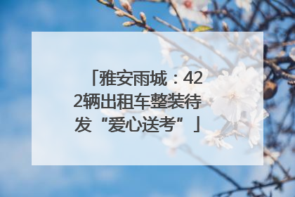 雅安雨城：422辆出租车整装待发“爱心送考”