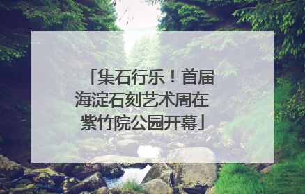 集石行乐！首届海淀石刻艺术周在紫竹院公园开幕