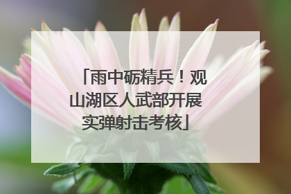 雨中砺精兵！观山湖区人武部开展实弹射击考核