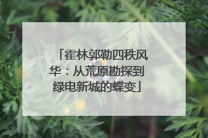 霍林郭勒四秩风华：从荒原勘探到绿电新城的蝶变