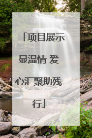 项目展示显温情 爱心汇聚助残行
