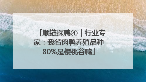 顺链探鸭④｜行业专家：我省肉鸭养殖品种80%是樱桃谷鸭