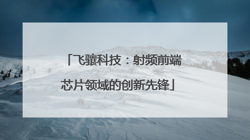 飞骧科技：射频前端芯片领域的创新先锋