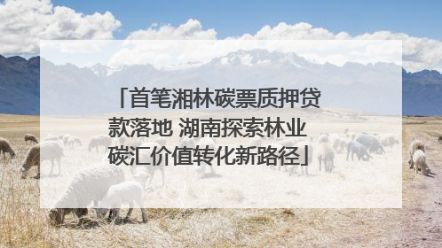首笔湘林碳票质押贷款落地 湖南探索林业碳汇价值转化新路径