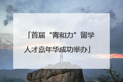 首届“青和力”留学人才嘉年华成功举办