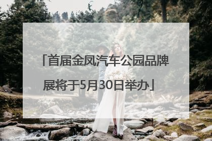 首届金凤汽车公园品牌展将于5月30日举办