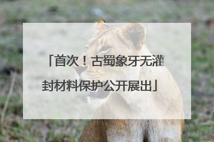 首次！古蜀象牙无灌封材料保护公开展出