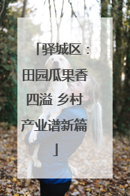 驿城区：田园瓜果香四溢 乡村产业谱新篇