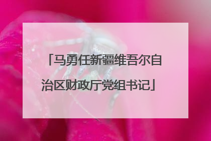 马勇任新疆维吾尔自治区财政厅党组书记