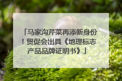 马家沟芹菜再添新身份！贸促会出具《地理标志产品品牌证明书》