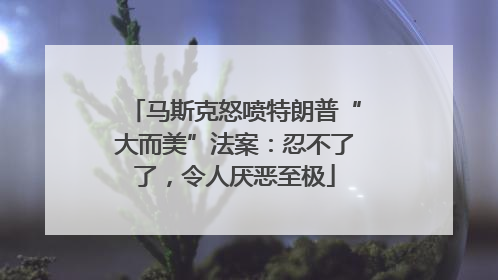 马斯克怒喷特朗普“大而美”法案：忍不了了，令人厌恶至极
