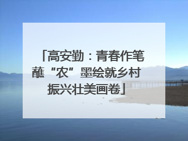 高安勤:青春作笔蘸“农”墨绘就乡村振兴壮美画卷