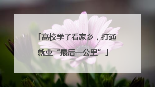 高校学子看家乡，打通就业“最后一公里”
