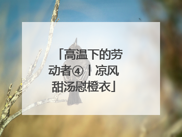 高温下的劳动者④丨凉风甜汤慰橙衣