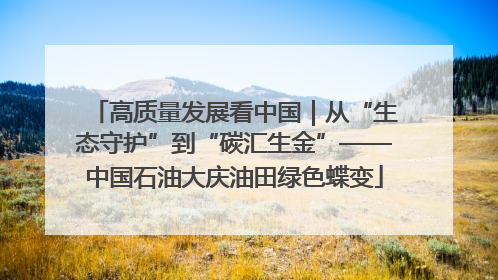 高质量发展看中国｜从“生态守护”到“碳汇生金”——中国石油大庆油田绿色蝶变