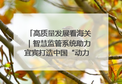 高质量发展看海关｜智慧监管系统助力宜宾打造中国“动力电池之都”