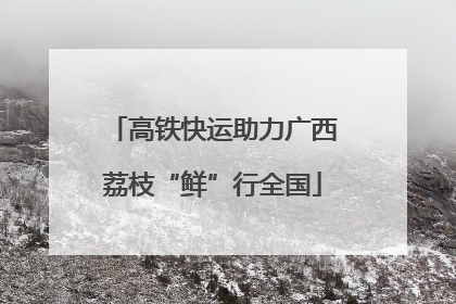 高铁快运助力广西荔枝“鲜”行全国