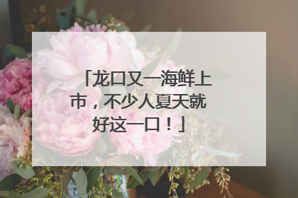 龙口又一海鲜上市，不少人夏天就好这一口！