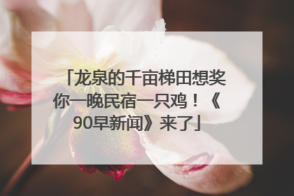 龙泉的千亩梯田想奖你一晚民宿一只鸡！《90早新闻》来了