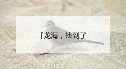 龙海，找到了6位高手！