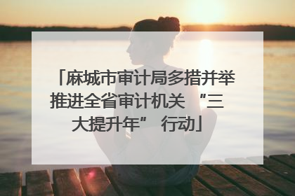 麻城市审计局多措并举推进全省审计机关 “三大提升年” 行动